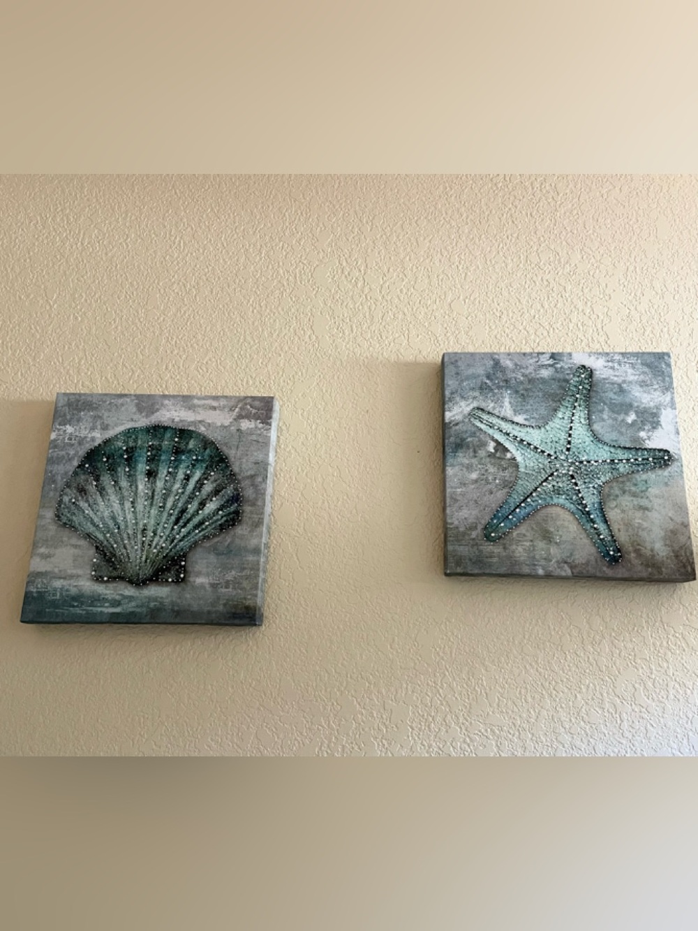 Coastal Shell & Starfish Canvas Art - Teal and Gray